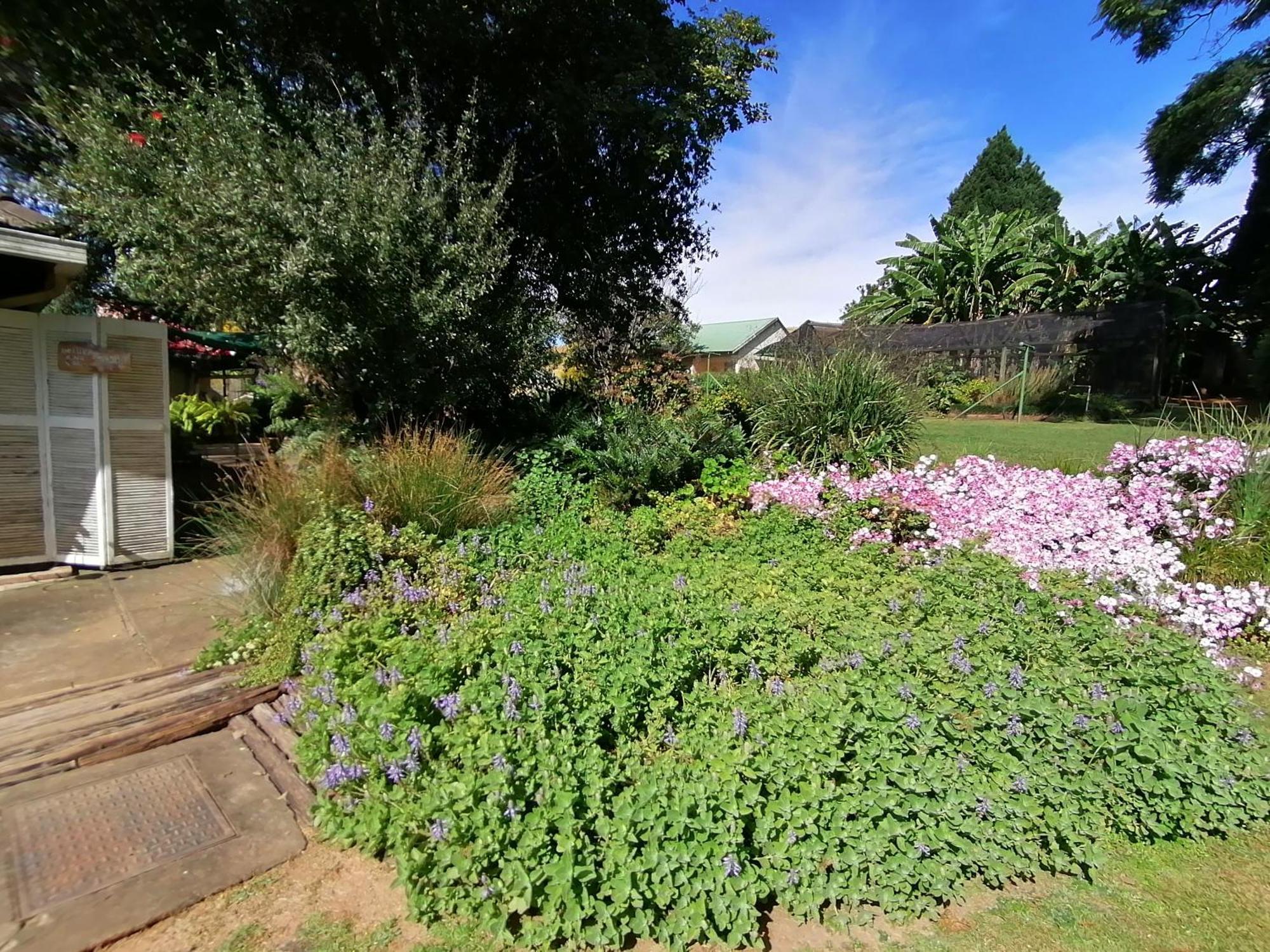 Bell Park Self Catering Bed and Breakfast Champagne Valley Buitenkant foto